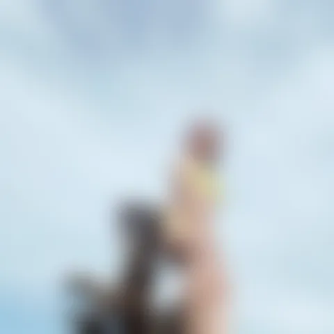 K*******e
