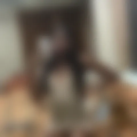 M*********l