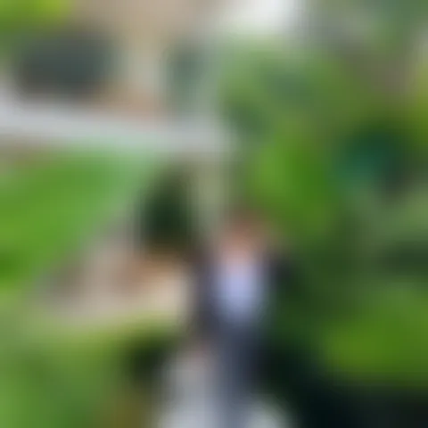 K********y