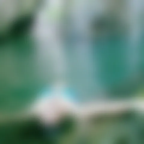 T******h