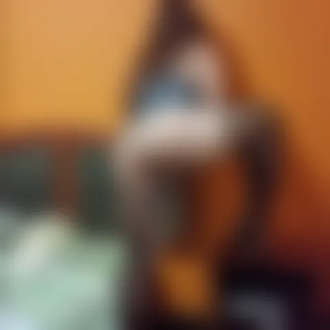 C********o