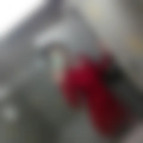 S**c