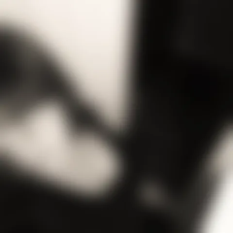 C************c