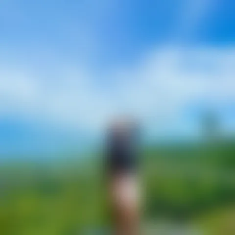 T**a